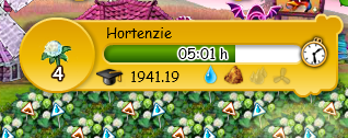 hortenzie.png