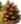 jedlova-siska-plod.png