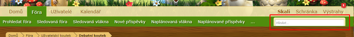 vyhledávání.png